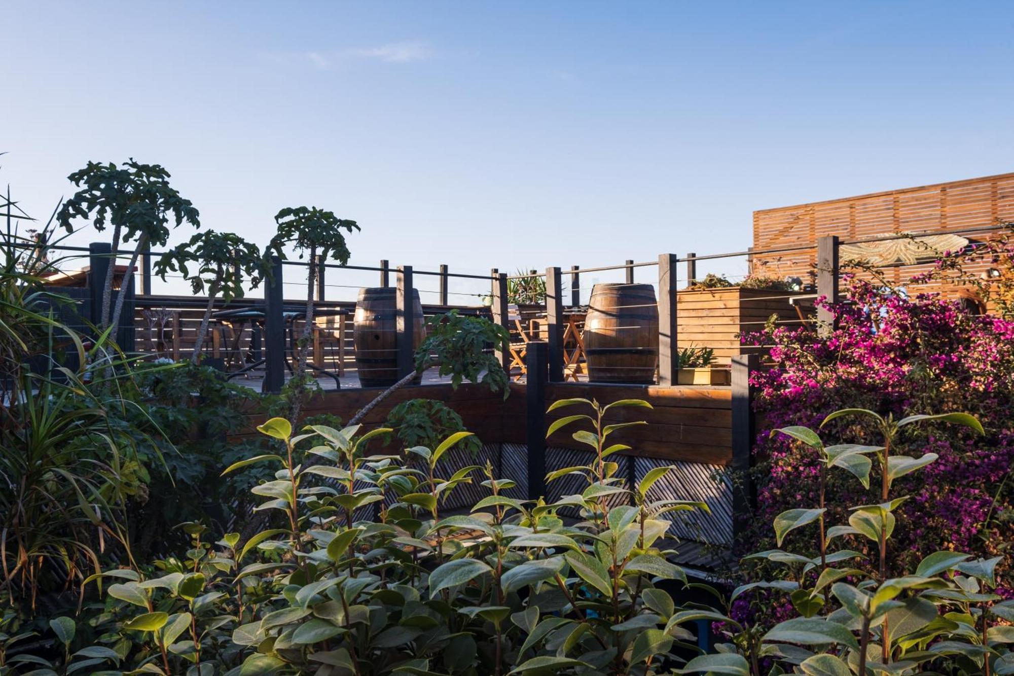 Loef Hostal Pichilemu Exterior photo